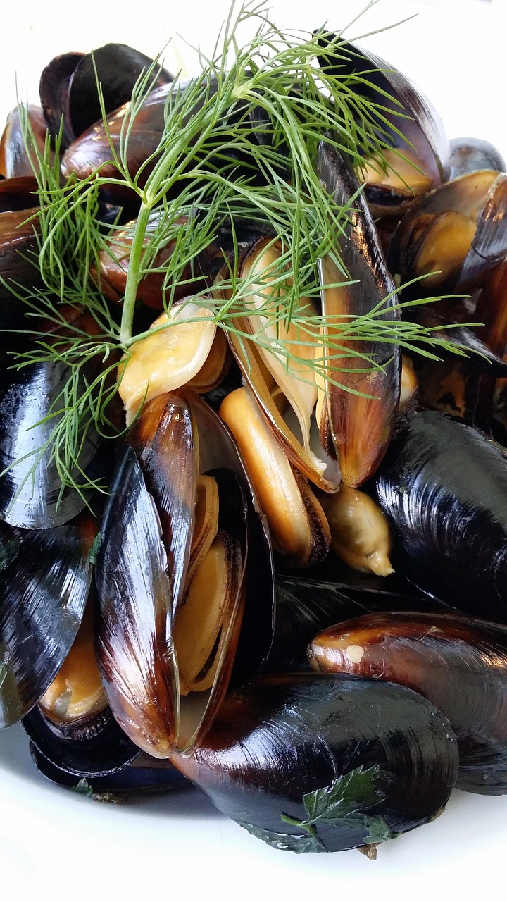 Restaurant Roundup: Irish fare, Sunday brunch buffet, new catering options - Pigeon605